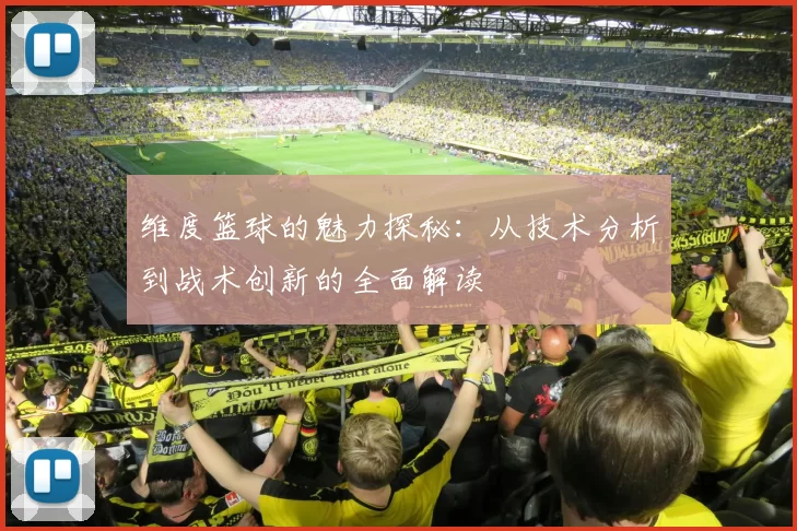 维度篮球的魅力探秘：从技术分析到战术创新的全面解读