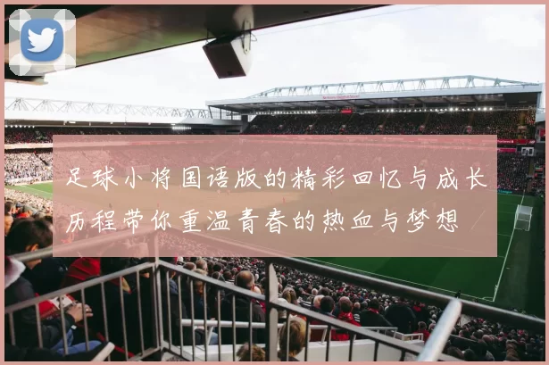 足球小将国语版的精彩回忆与成长历程带你重温青春的热血与梦想